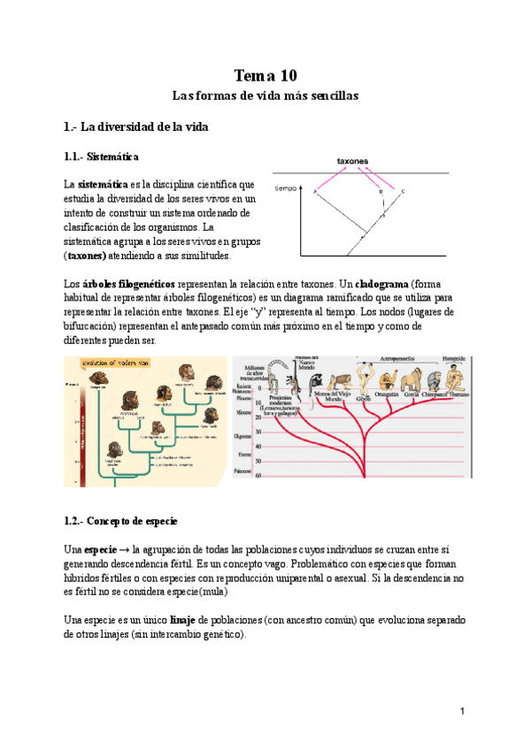 Miniatura del documento Bloque-3-Conocimiento-del-medio-natural.pdf
