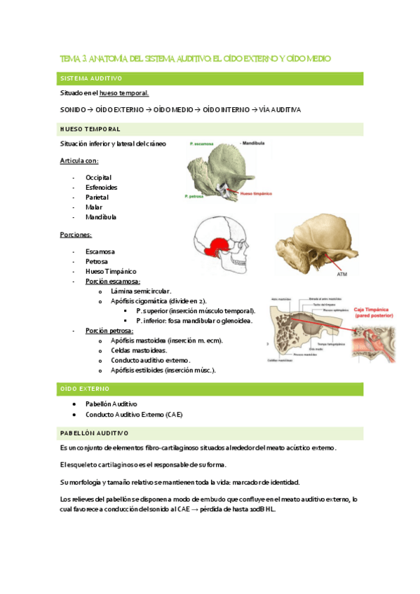 Miniatura del documento TEMA-3-y-4.-Anatomia-OE-y-OM.pdf