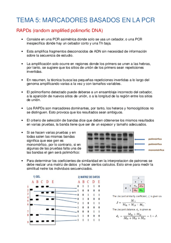 Miniatura del documento Tema5Marcadores-basados-en-PCR.pdf