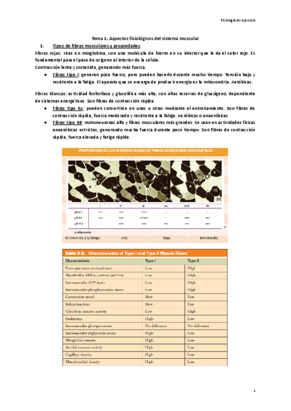 Miniatura del documento Tema-1.-Aspectos-fisiologicos-del-sistema-muscular.pdf