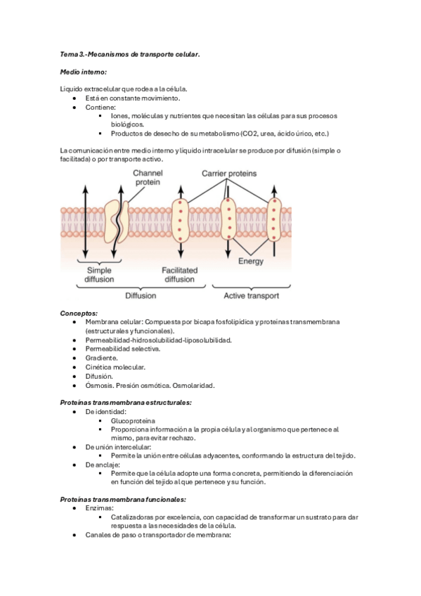 Miniatura del documento Tema-3.-Mecanismos-de-transporte-celular..pdf