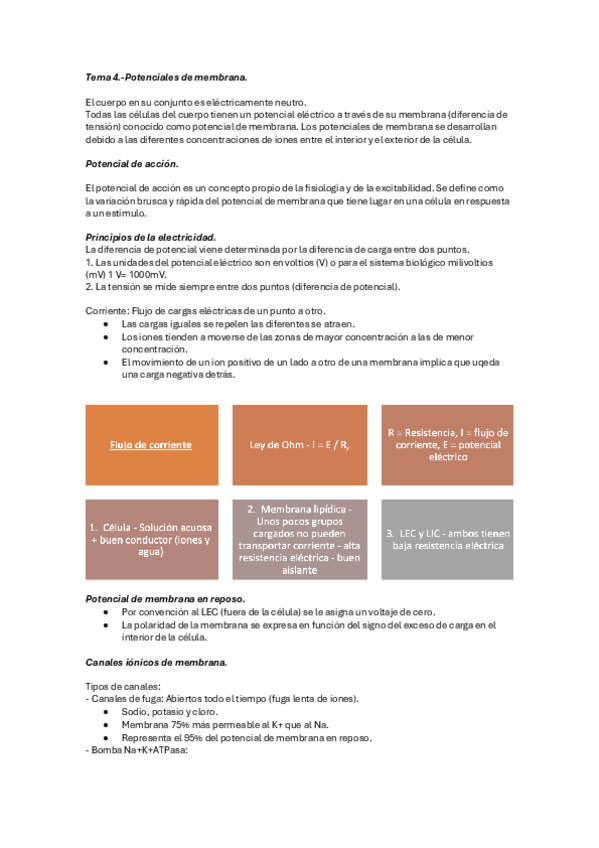Miniatura del documento Tema-4.-Potenciales-de-membrana..pdf