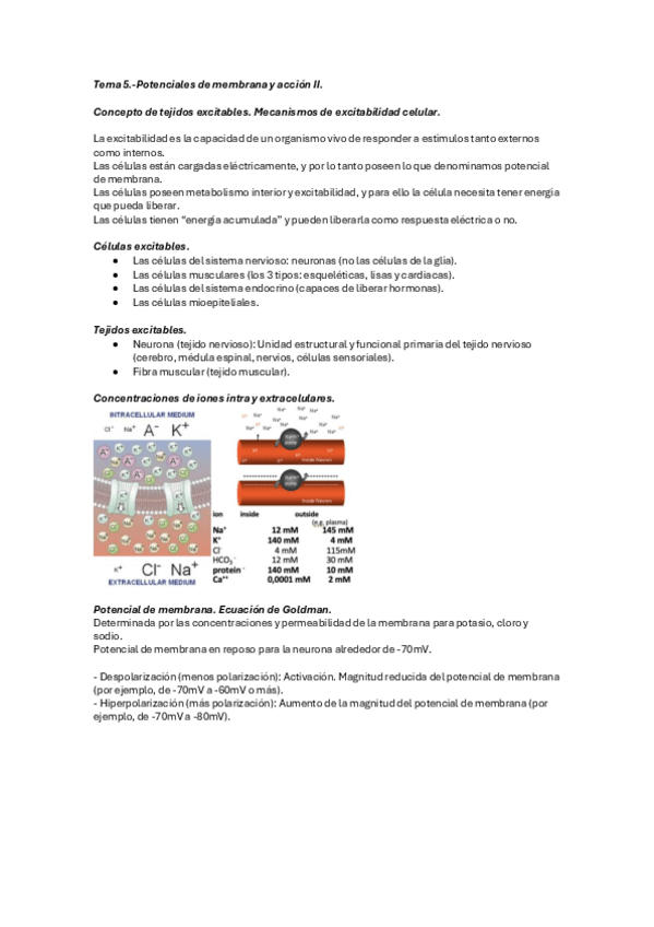 Miniatura del documento Tema-5.-Potenciales-de-membrana-y-accion-II..pdf