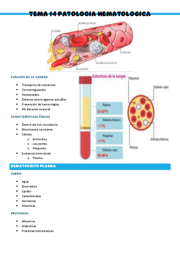 Miniatura del documento T14-Patologia-medica-general.pdf