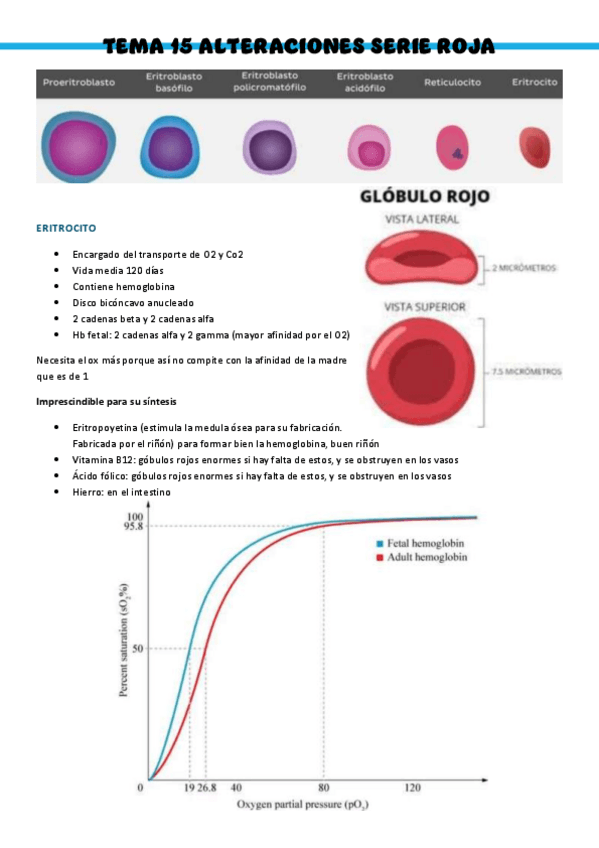 Miniatura del documento T15-Patologia-medica-general.pdf