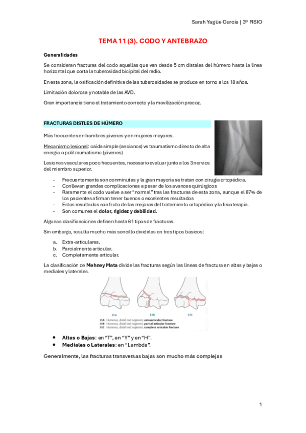Miniatura del documento MQ-II-T11-3-Codo-y-Antebrazo.pdf