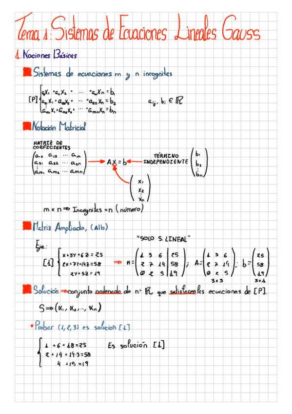Miniatura del documento Sistema-de-Ecuaciones-Lineales-y-Matrices.pdf