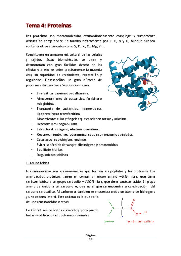 Miniatura del documento T4. Proteínas.pdf