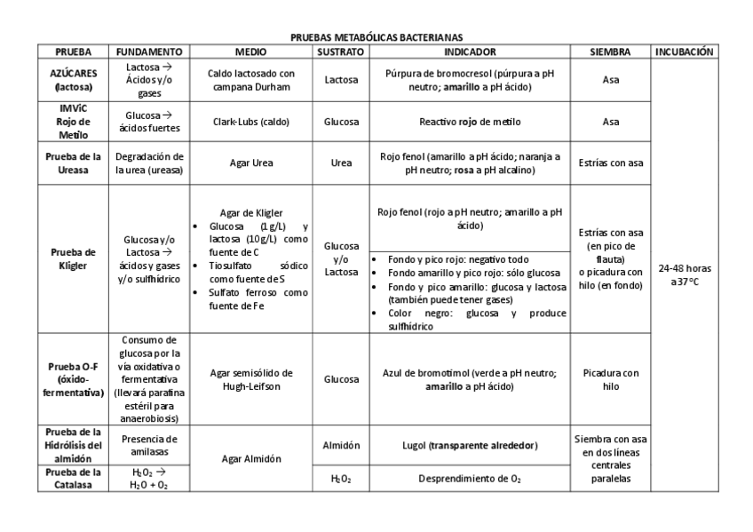Miniatura del documento Tabla-de-Pruebas-Bioquimicas.pdf