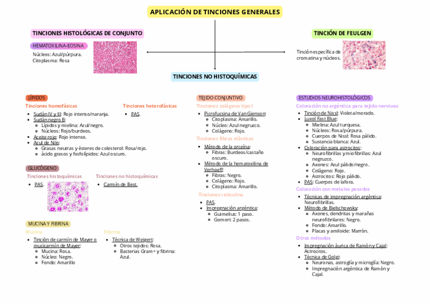 Miniatura del documento Mapa-conceptual-tinciones-generales.pdf