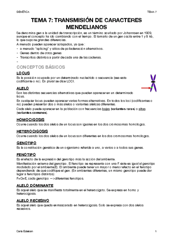 Miniatura del documento genetica-tema-7.pdf