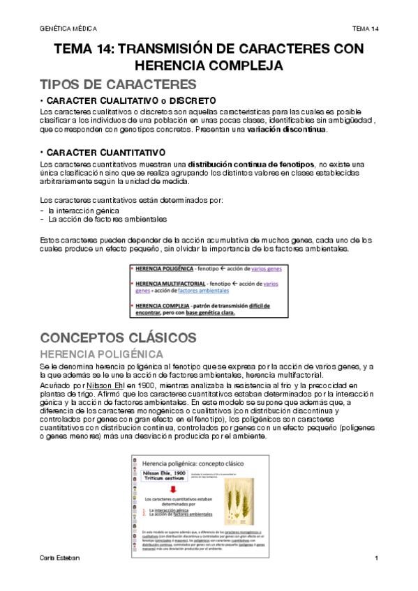 Miniatura del documento genetica-tema-14.pdf