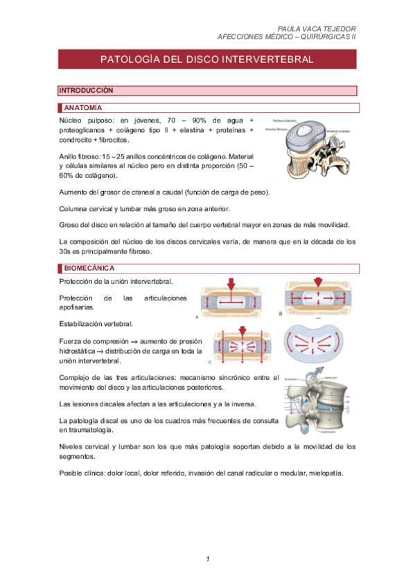 Miniatura del documento TEMA-12.2.-PATOLOGIA-DEL-DISCO-INTERVERTEBRAL.pdf