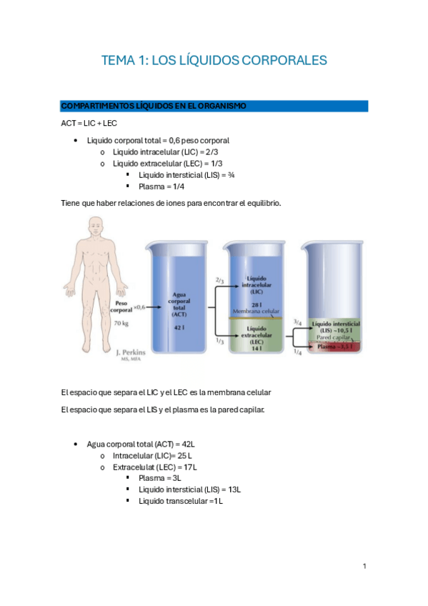 Miniatura del documento TEMA-1.pdf
