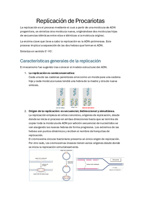 Miniatura del documento Tema-3-Replicacion-Procariotas.pdf