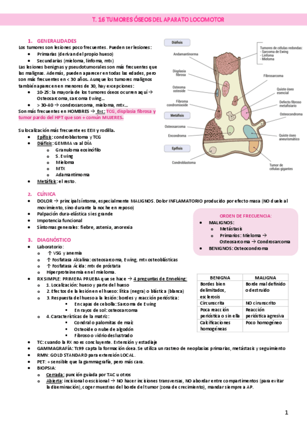 Miniatura del documento T.-16-Tumores-oseos.pdf