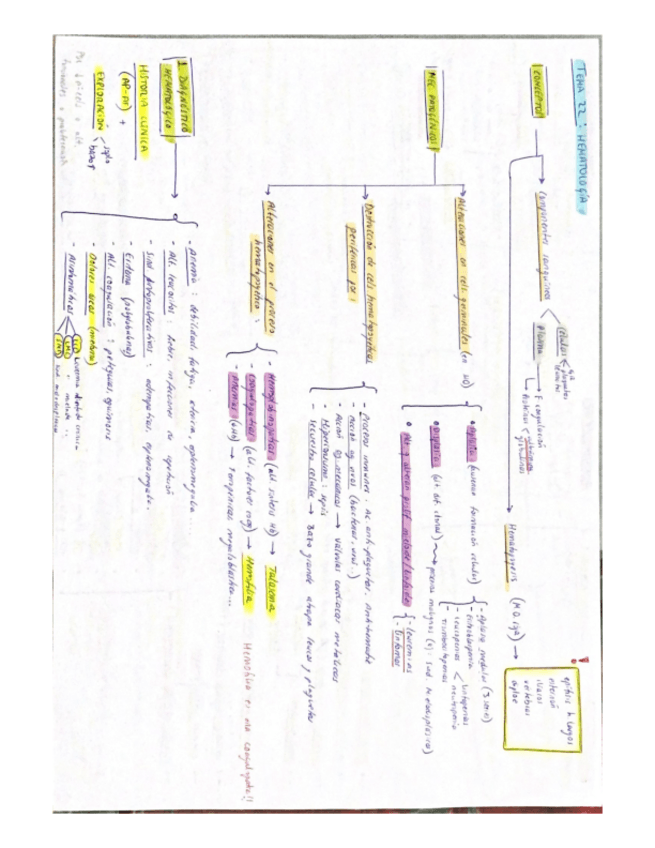 Miniatura del documento MEDICA-hematologia T22-26.pdf