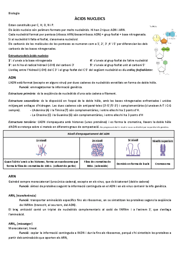 Miniatura del documento Acids-Nucleics.pdf