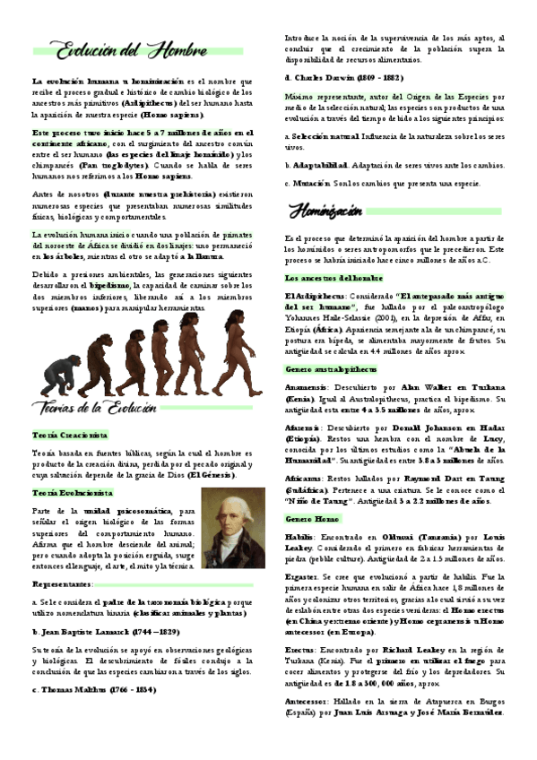 Miniatura del documento Evolucion-del-Hombre.pdf