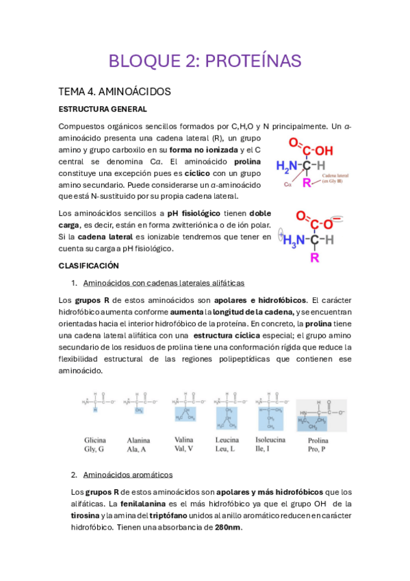 Miniatura del documento BLOQUE-2.-PROTEINAS.pdf