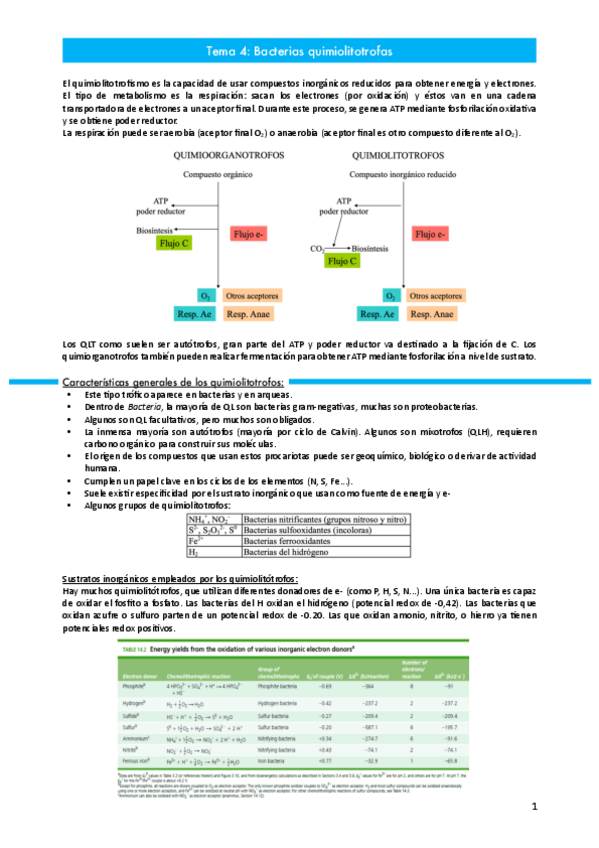 Miniatura del documento Tema-4.pdf