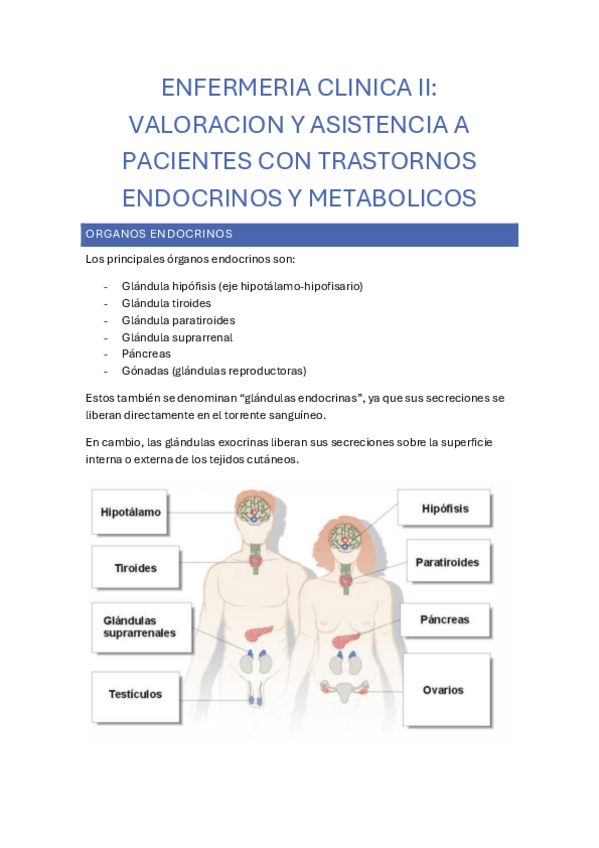 Miniatura del documento endocrino-1.pdf