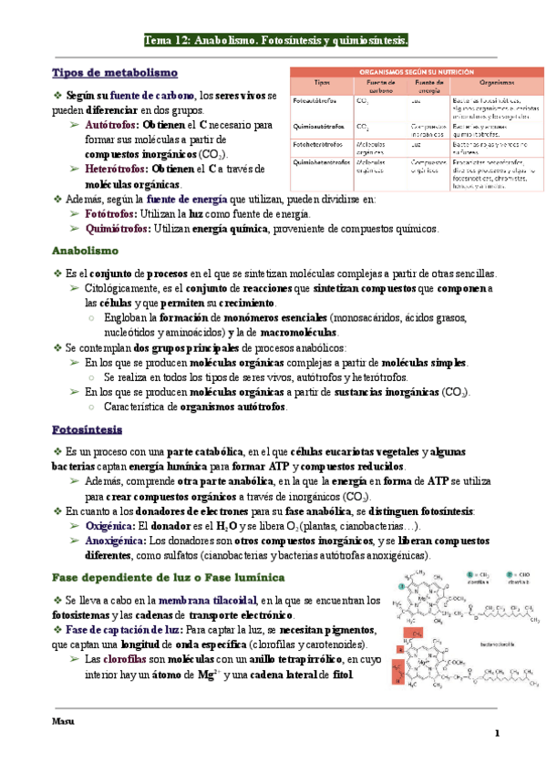 Miniatura del documento Biologia-Tema-12-Anabolismo.-Fotosintesis-y-quimiosintesis.-1.pdf