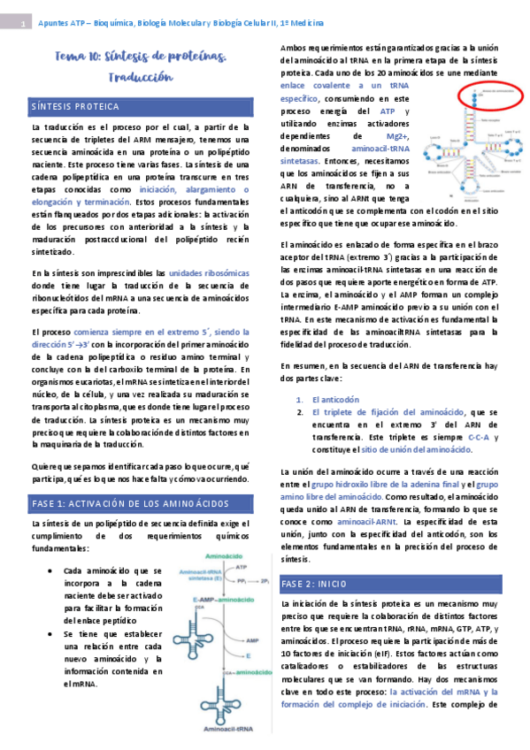 Miniatura del documento tema-10-bioquimica-II.pdf