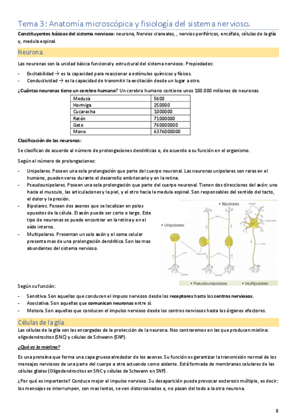 Miniatura del documento Tema 3. Anatomía..pdf