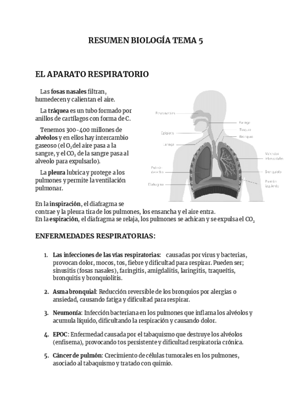 Miniatura del documento Resumen-de-biologia-tema-5.pdf
