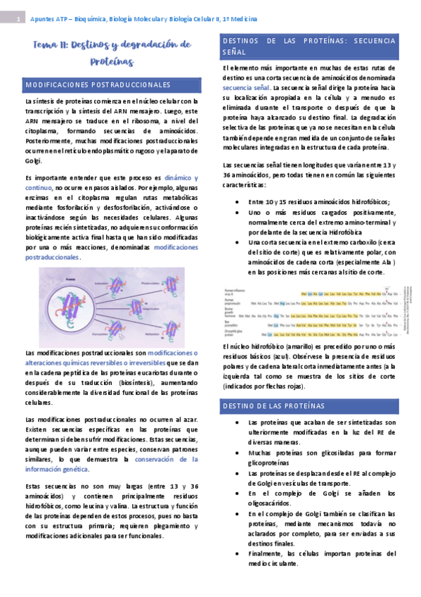 Miniatura del documento tema-11-bioquimica-II.pdf