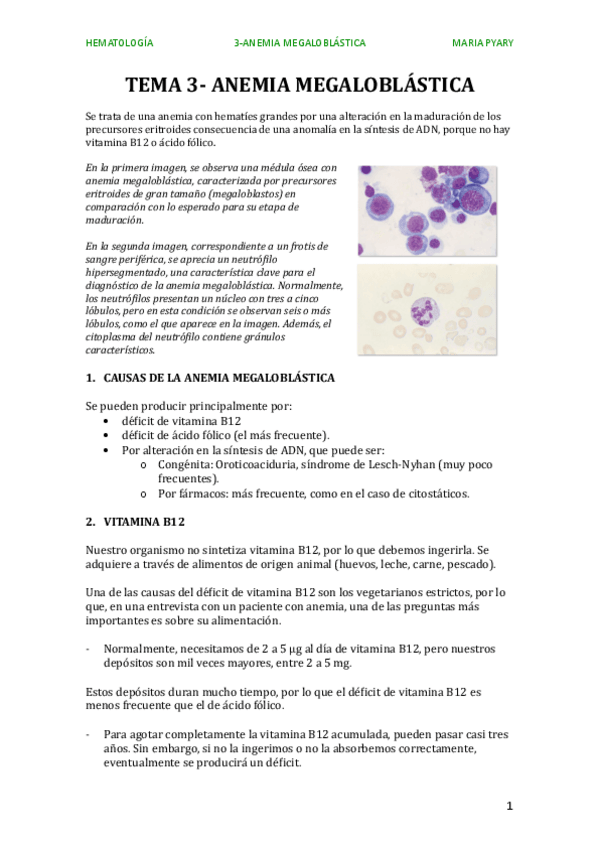 Miniatura del documento TEMA-3.-ANEMIA-MEGALOBLASTICA.pdf