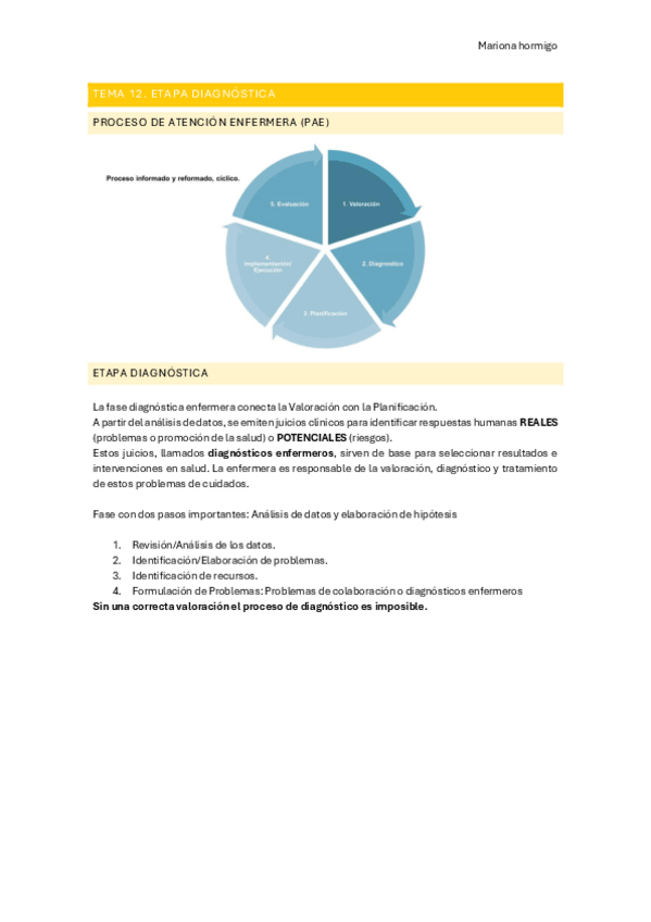 Miniatura del documento TEMA-12-DIAGNOSTICOS-NANDA.pdf