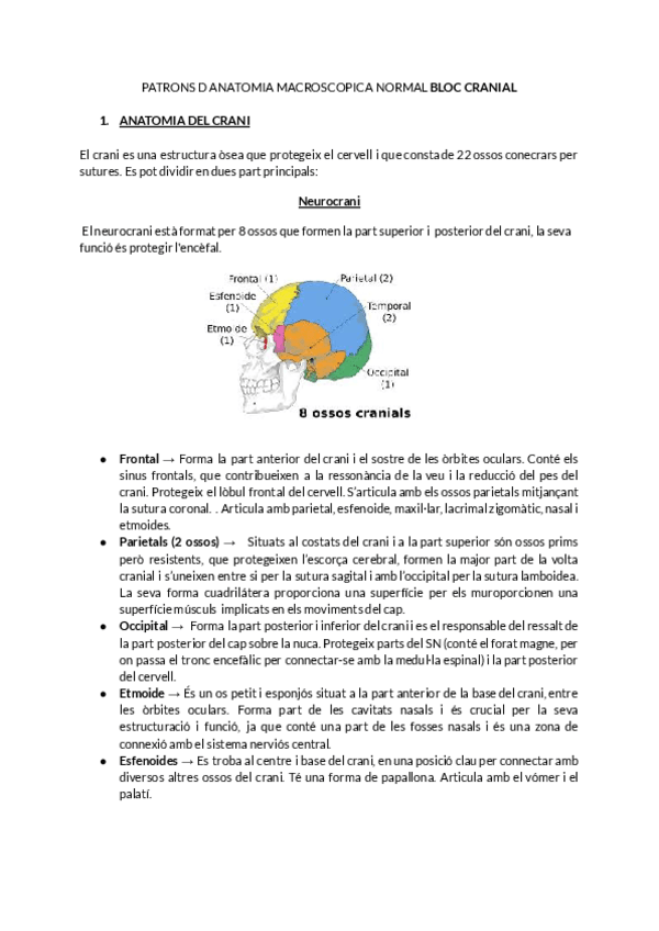 Miniatura del documento Apunts-necropsies-Bloc-Cranial-CATALA.pdf
