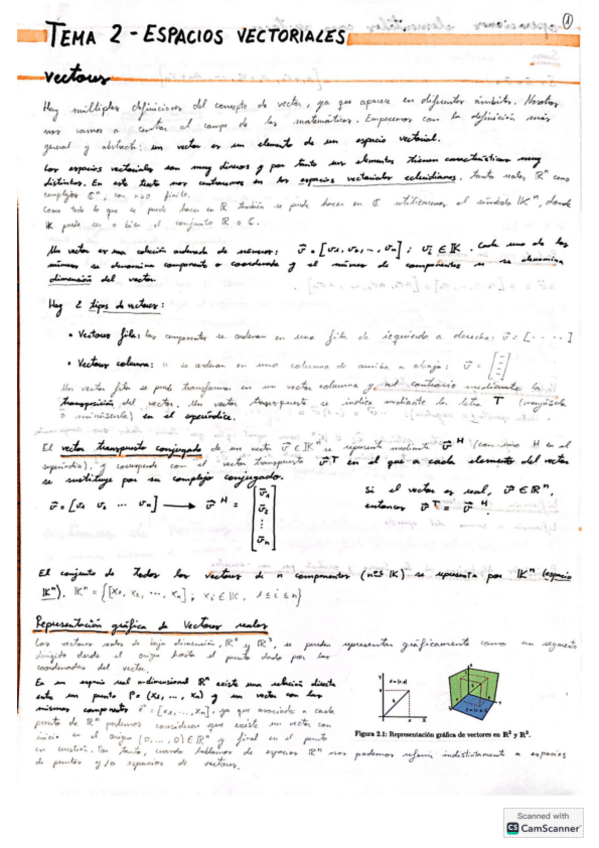 Miniatura del documento ALGEBRA-Apuntes-Tema-2.pdf