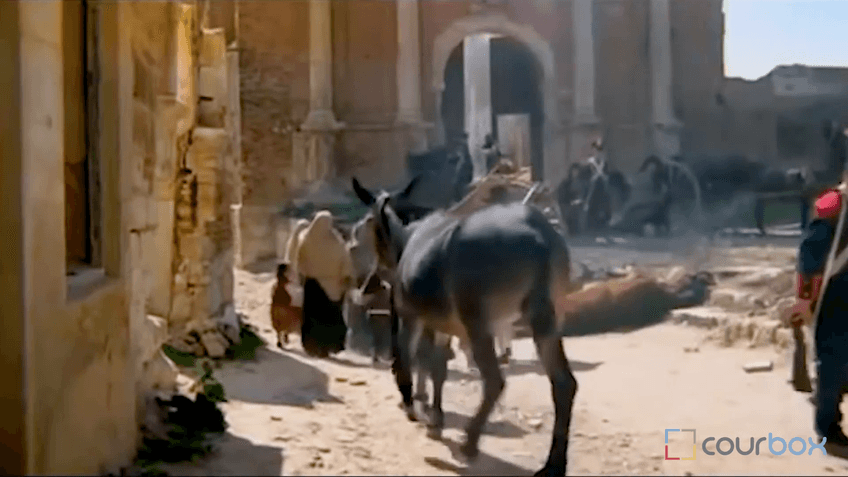 Miniatura del vídeo