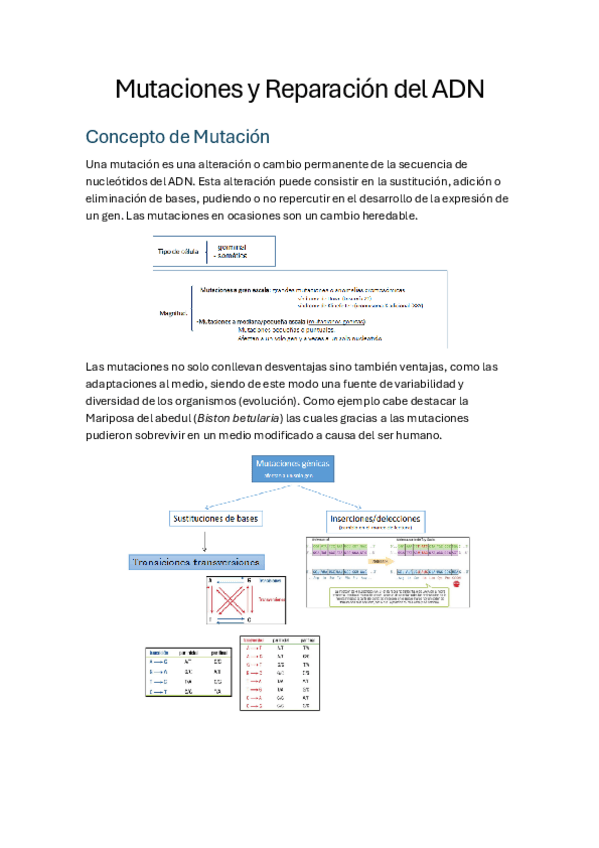 Miniatura del documento Tema-5-Mutaciones-y-Reparacion-del-ADN.pdf