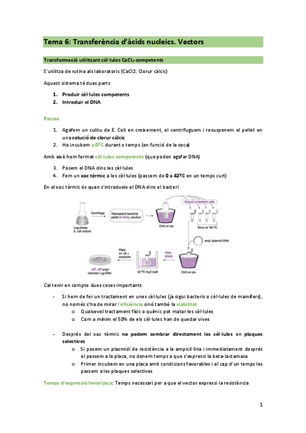 Miniatura del documento T6-ENG.pdf