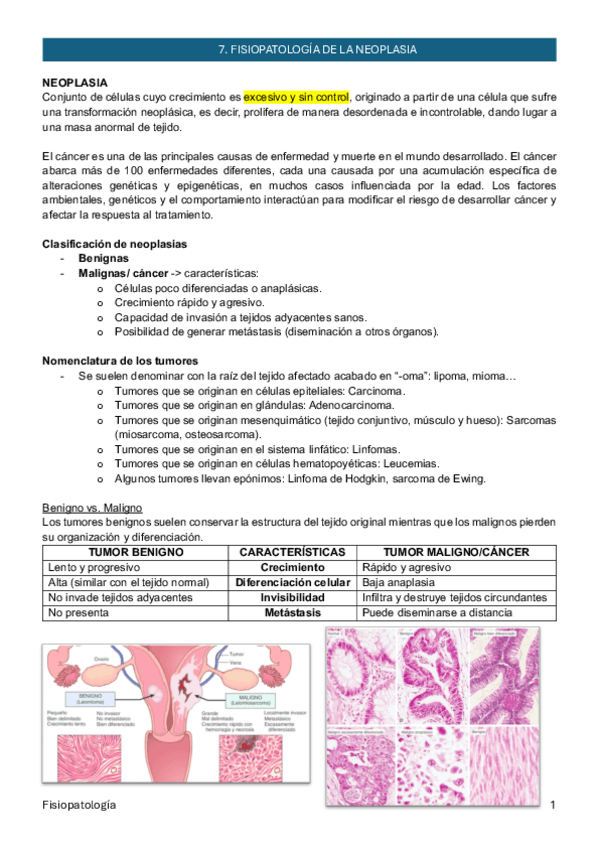 Miniatura del documento T07_Fisioptología de la neoplasia_Fisiopatología.pdf