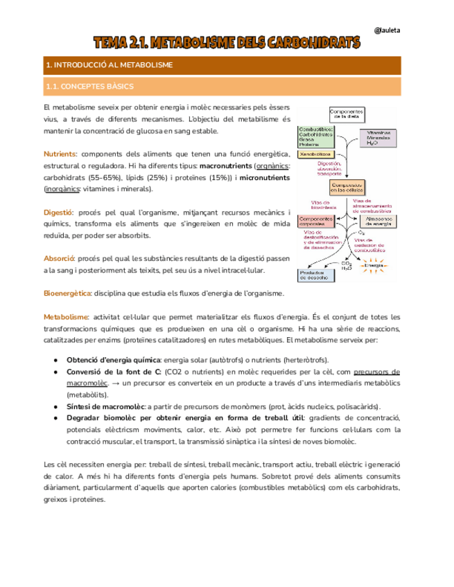 Miniatura del documento Tema-2.1 i 2.2-Nutri.pdf