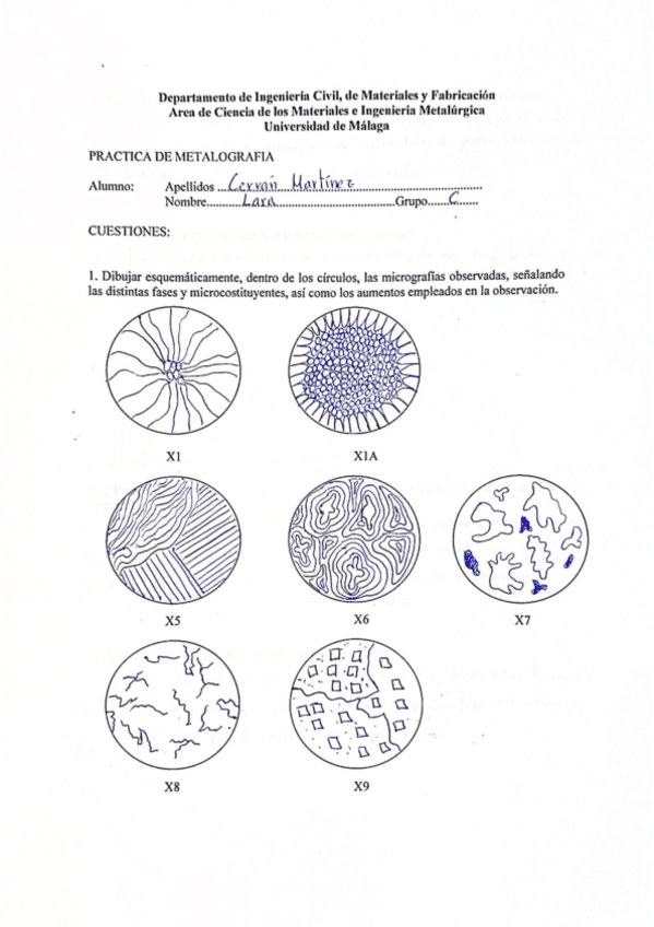 Miniatura del documento Practicas-Materialesnota9.5.pdf