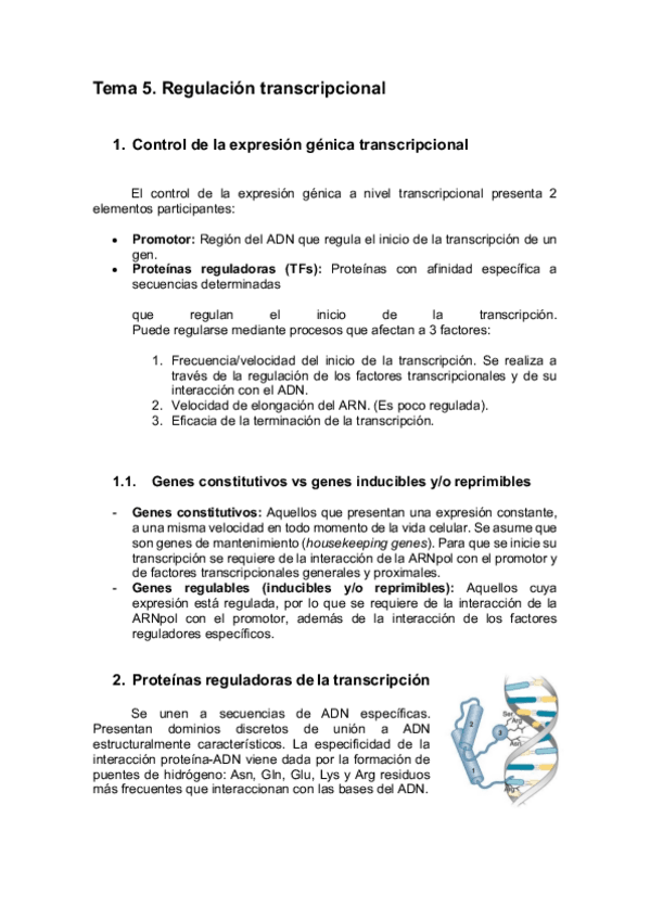 Miniatura del documento TEMA-5-BIOQUIMICA-Y-BIOLOGIA-MOLECULAR-HUMANA.pdf