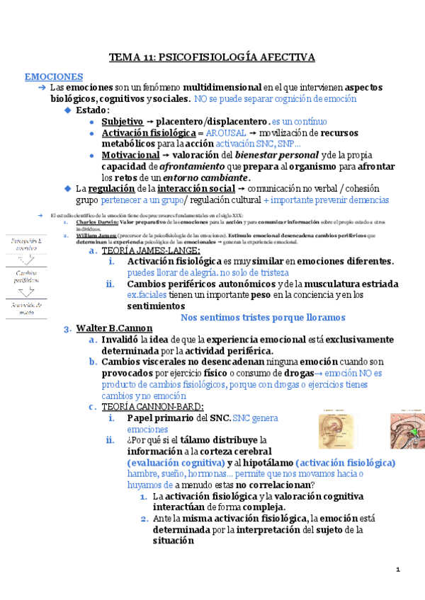 Miniatura del documento T11.pdf