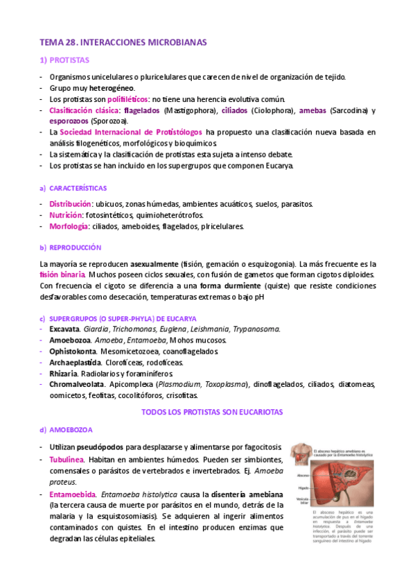 Miniatura del documento TEMA-28.pdf