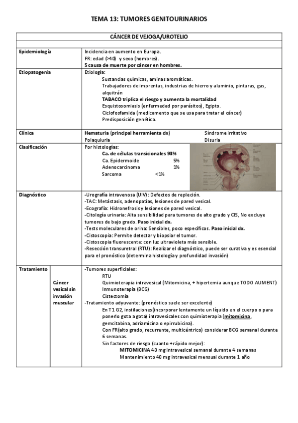 Miniatura del documento CANCER-UROTELIAL.pdf