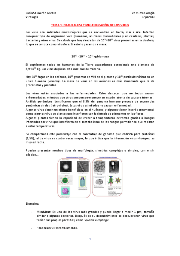 Miniatura del documento Virologia-T1-T4.pdf