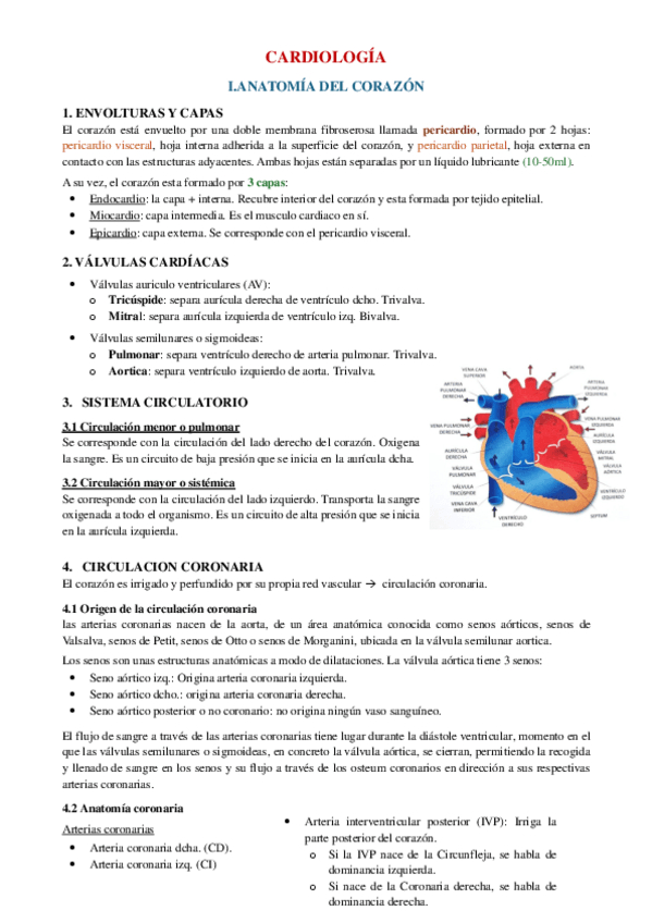 Miniatura del documento Resumen-cardio-EIR-2025.pdf