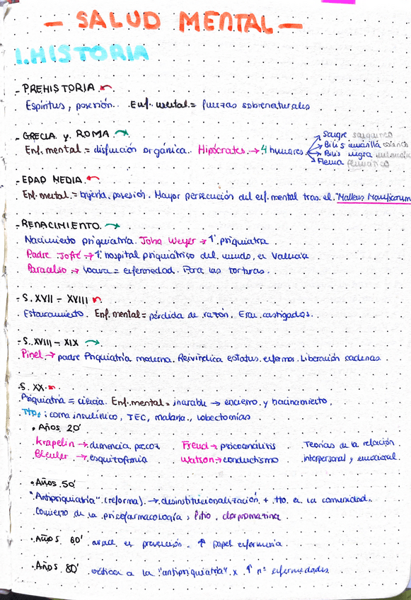 Miniatura del documento Resumen-salud-mental-EIR-2025.pdf