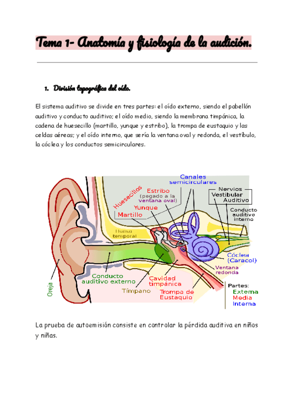 Miniatura del documento Expl.-audicion..pdf