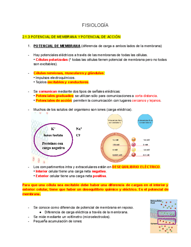 Miniatura del documento TEMA-2.1.3.pdf